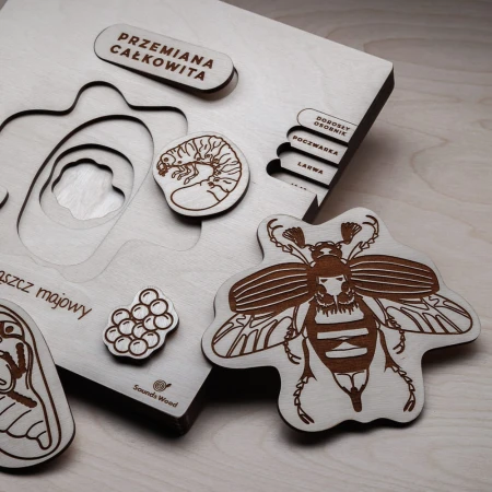 puzzle-montessori-chrabaszcz-sounds-wood