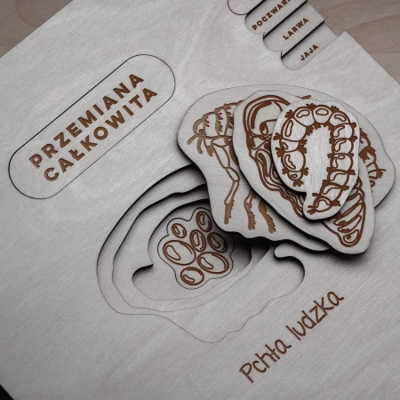 puzzle-montessori-pchla-sounds-wood