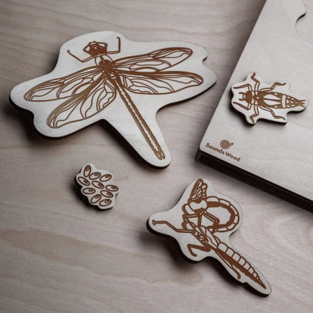 puzzle-montessori-wazka-sounds-wood