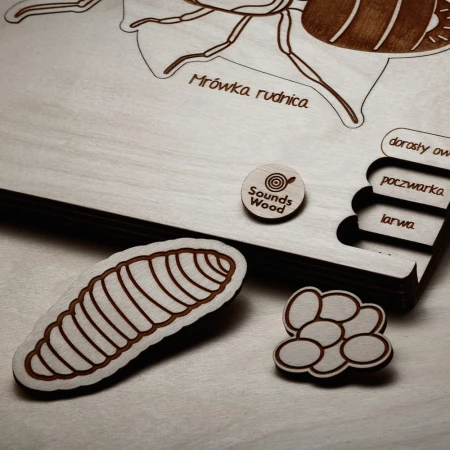 puzzle-montessori-mrowka-sounds-wood