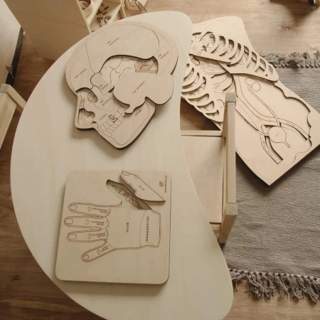 drewniane-puzzle-montessori-anatomia-soundswood