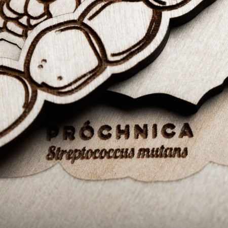 ukladanka-monteressori-wirusy-i-bakterie-sounds-wood