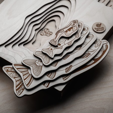 fazy-rozwoju-lososia-sounds-wood