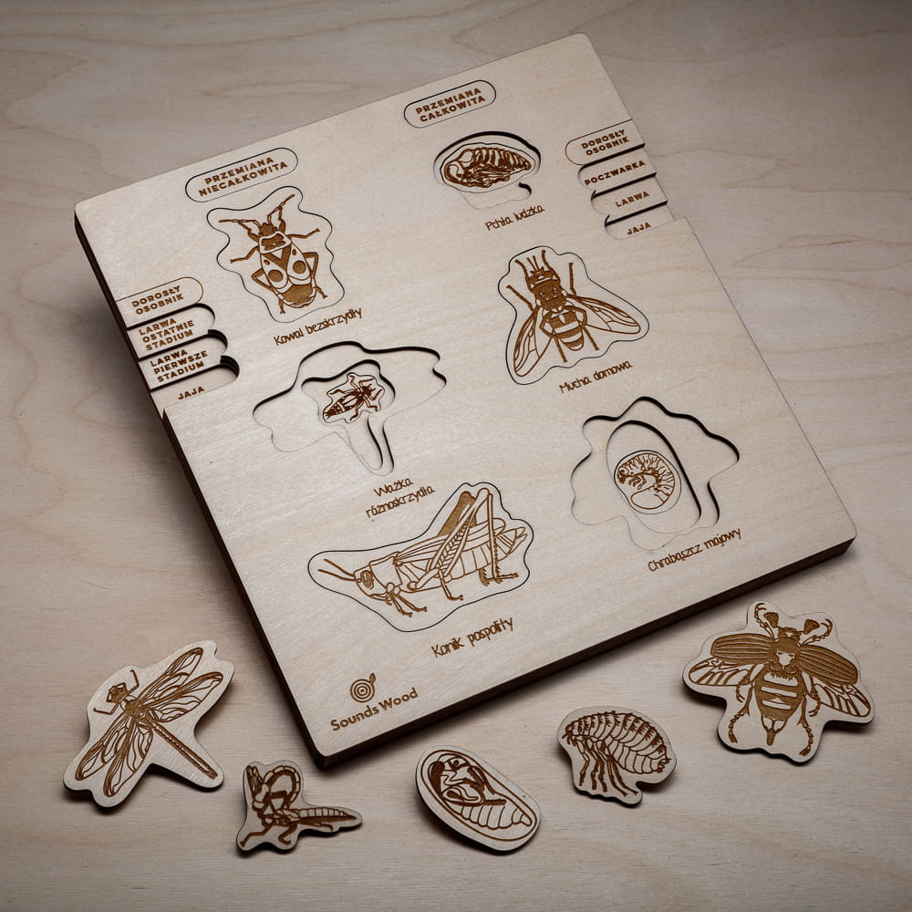drewniane-puzzle-edukacyjne-owady-cykle-rozwoju-sounds-wood