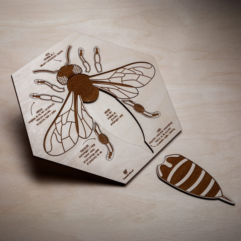 drewniane-puzzle-edukacyjne-anatomia-pszczoly-soundswood