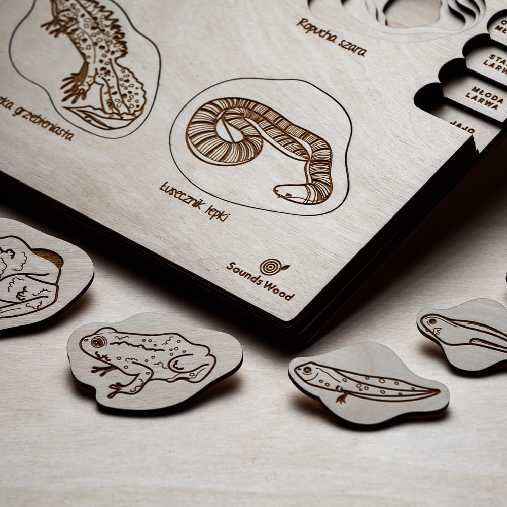 puzzle-drewniane-fazy-rozwoju-plazow-sounds-wood