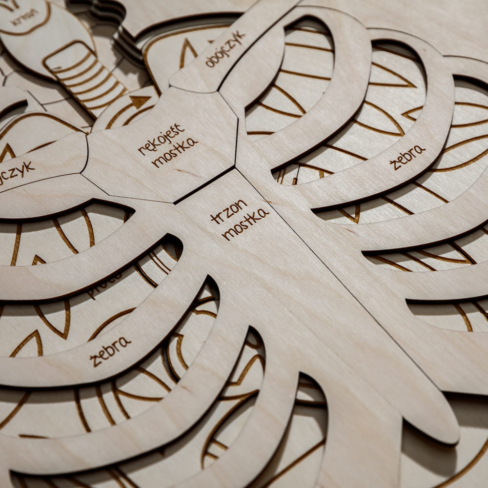 drewniane-puzzle-edukacyjne-anatomia-czlowieka-zestaw-sounds-wood