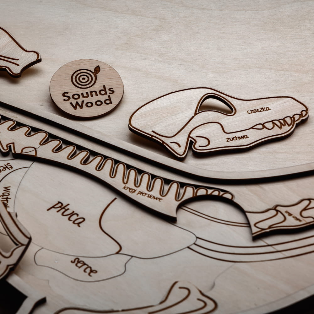 drewniane-puzzle-edukacyjne-pies-anatomia-sounds-wood